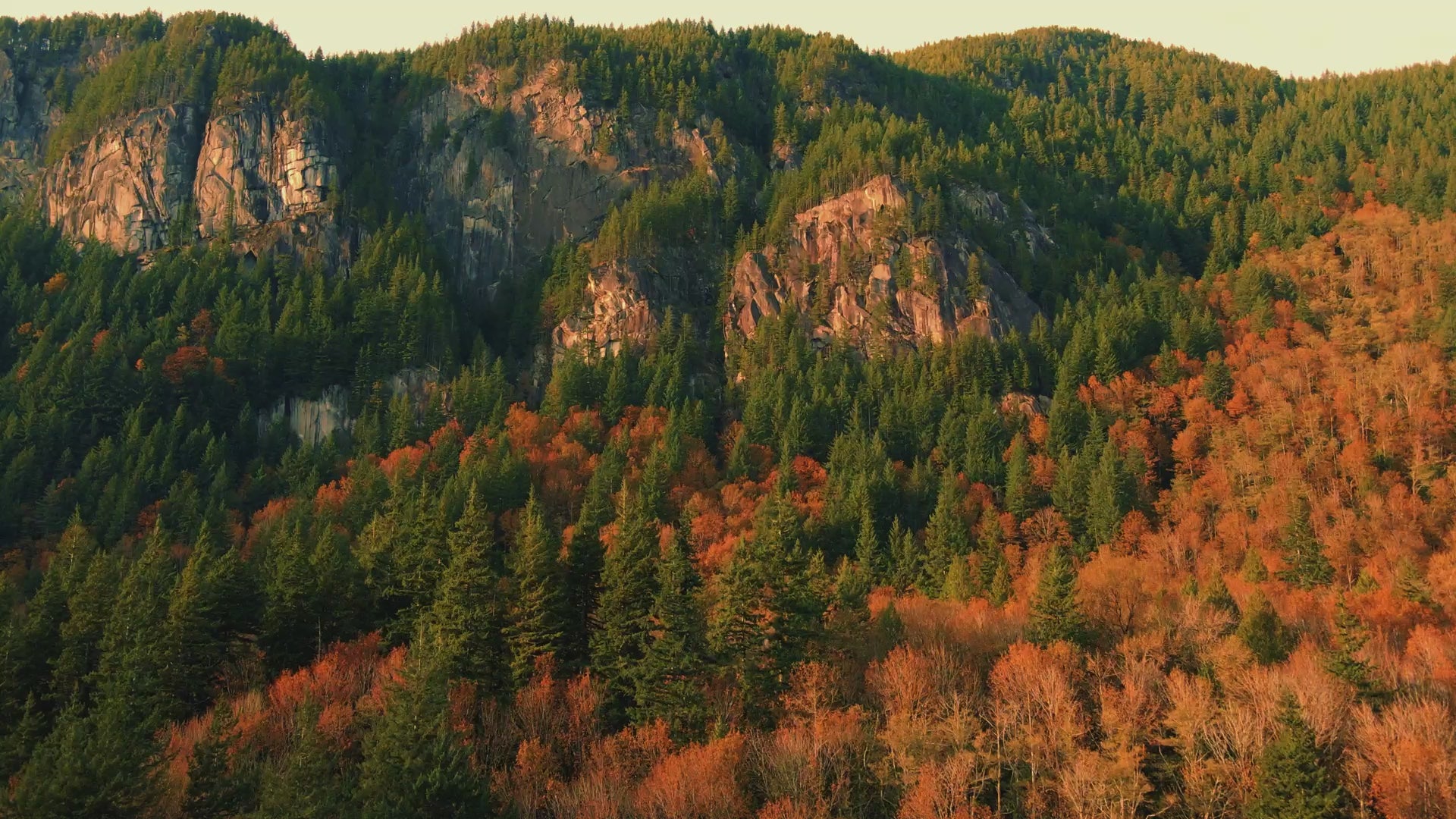 Collection of  in a gallery layout